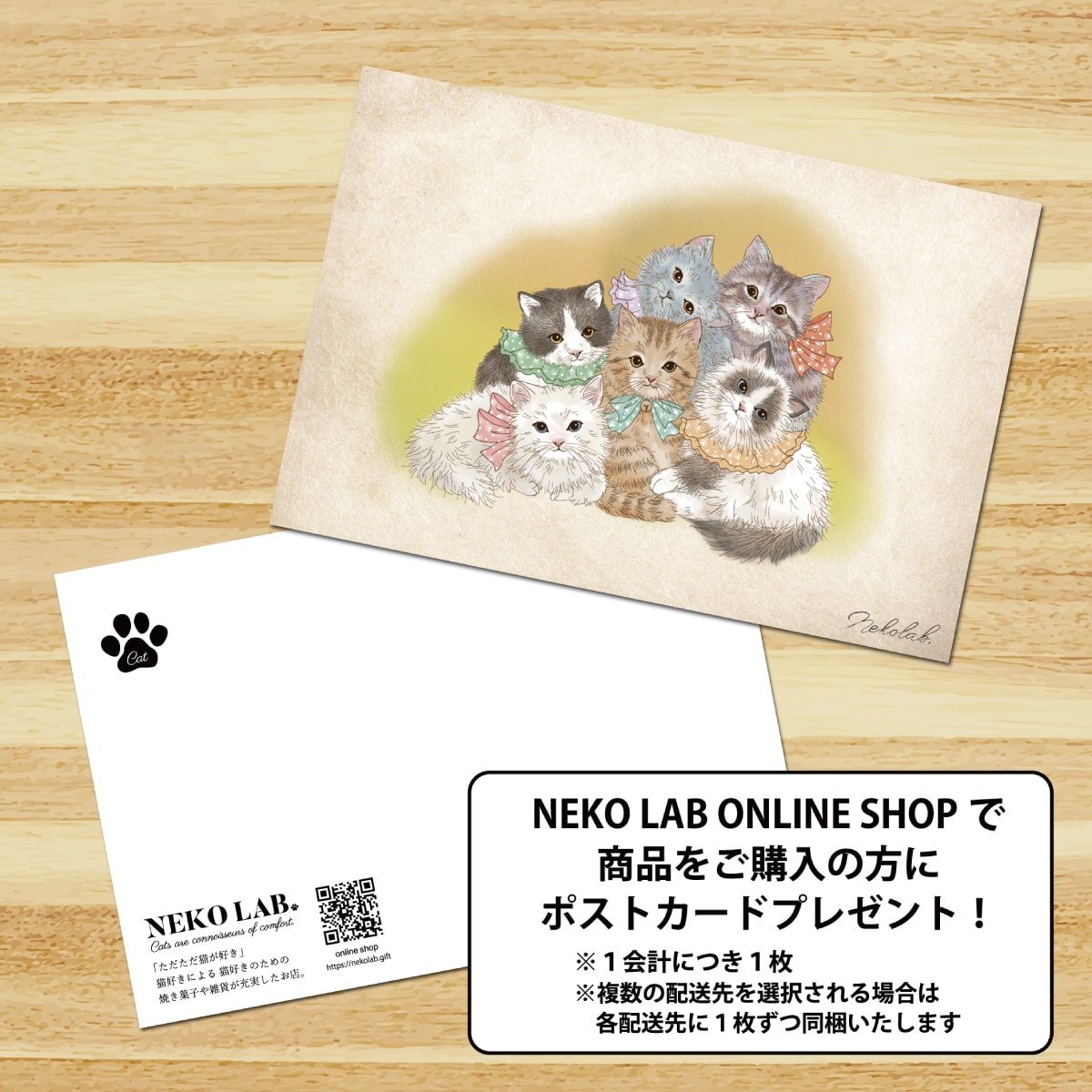 マグカップ ragdoll | グッズ | NEKOLAB公式オンラインショップ