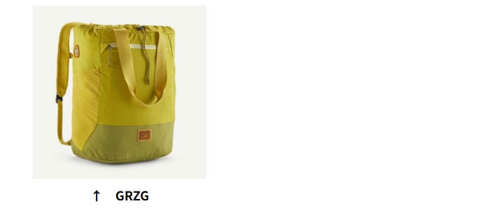 パタゴニア テラヴィア・トート・パック 24L 48814 バックパック