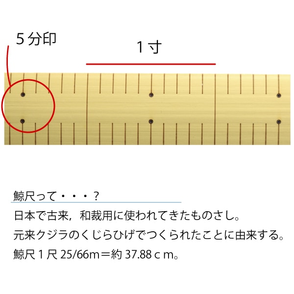 竹尺 (普通巾)(両メモリくじら尺)鯨尺 2尺｜三友教材オンライン