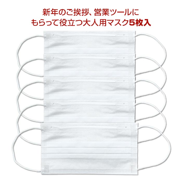 受注締切11/10】【名入れ】お年賀マスク 5枚入×400個セット｜卸スタジアム