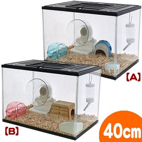 28周年セール中】400Highシャンガリアン飼育6点セット【一度のご注文で