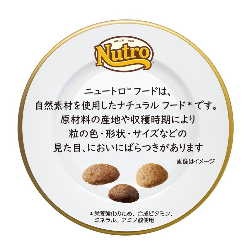 ナチュラル チョイス キャット 室内猫用 アダルト ターキー