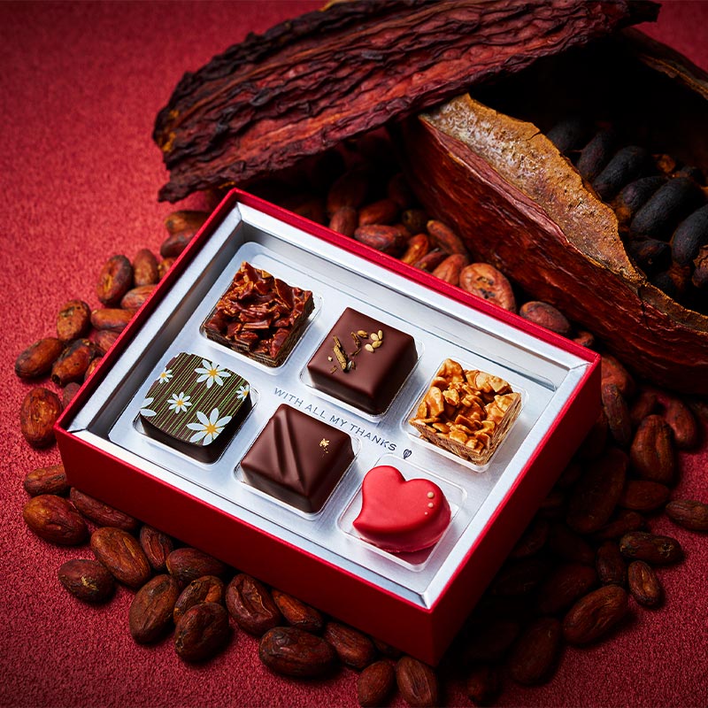 エンザイム カカオフレーバー 60個入り 2026SVT5148_1?$VS_1500$