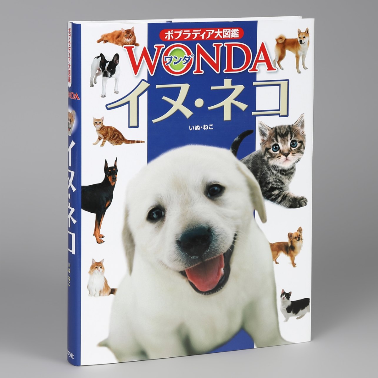 イヌ・ネコkodo-mall(こどもーる)／ポプラ社公式通販サイト