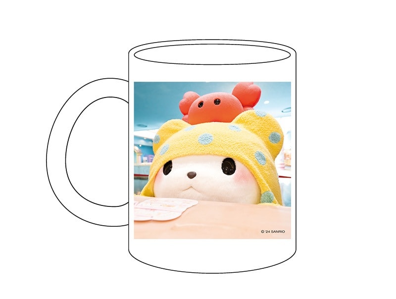 4_000000000411.jpg?1707787283