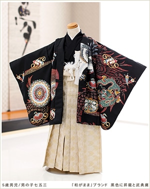 七五三 5歳 男の子 袴レンタル 着物 フルセット ブランド 5才 おすすめ