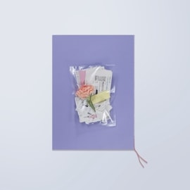 SCANDAL,RINA 4th ZINE 「秘密日記」 | ROOFTOP ONLINE STORE