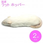 冷凍ラット ホッパーS 10匹 RHS 国産 SAafrm | 冷凍ラット,ホッパー