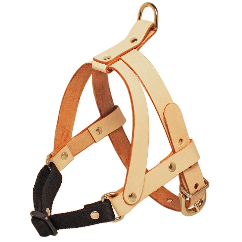 本革首輪・おしゃれ首輪・迷子札首輪の サクラ犬具製作所 / SAKURA