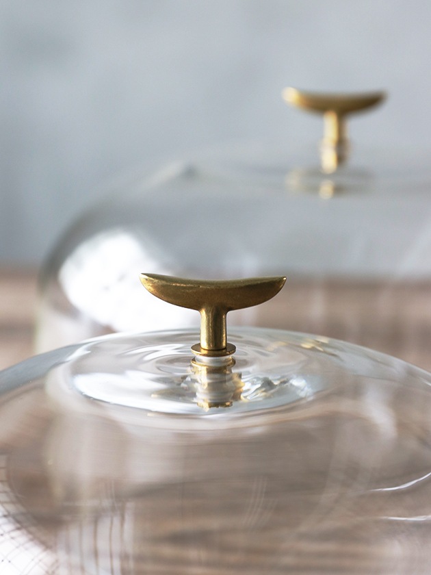 ガラスドームSeed