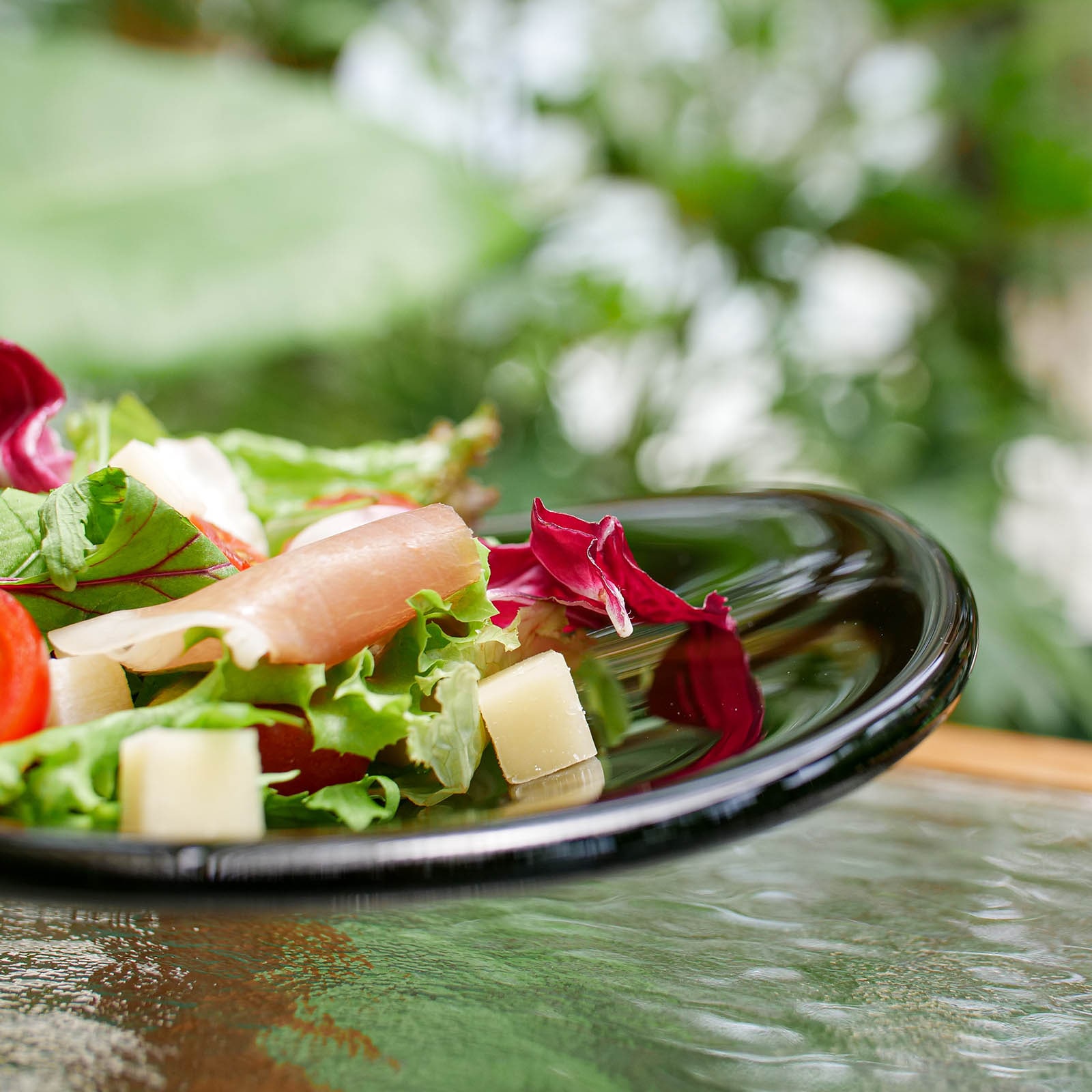 トゥッティー：プレート (L) web 限定カラー | WEB限定 | Sghr