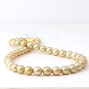 白蝶パールセミバロックネックレス【大きさ8.4-10.8mm・長さ43cm