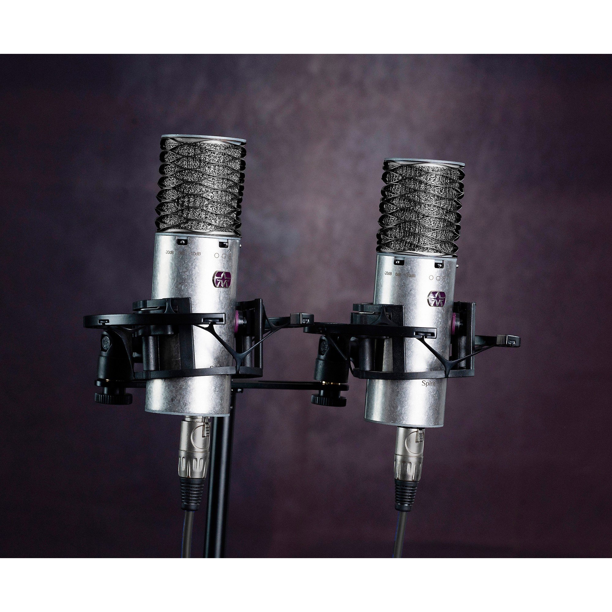 Aston Microphones SPIRIT STEREO PAIR - 2 High-performance