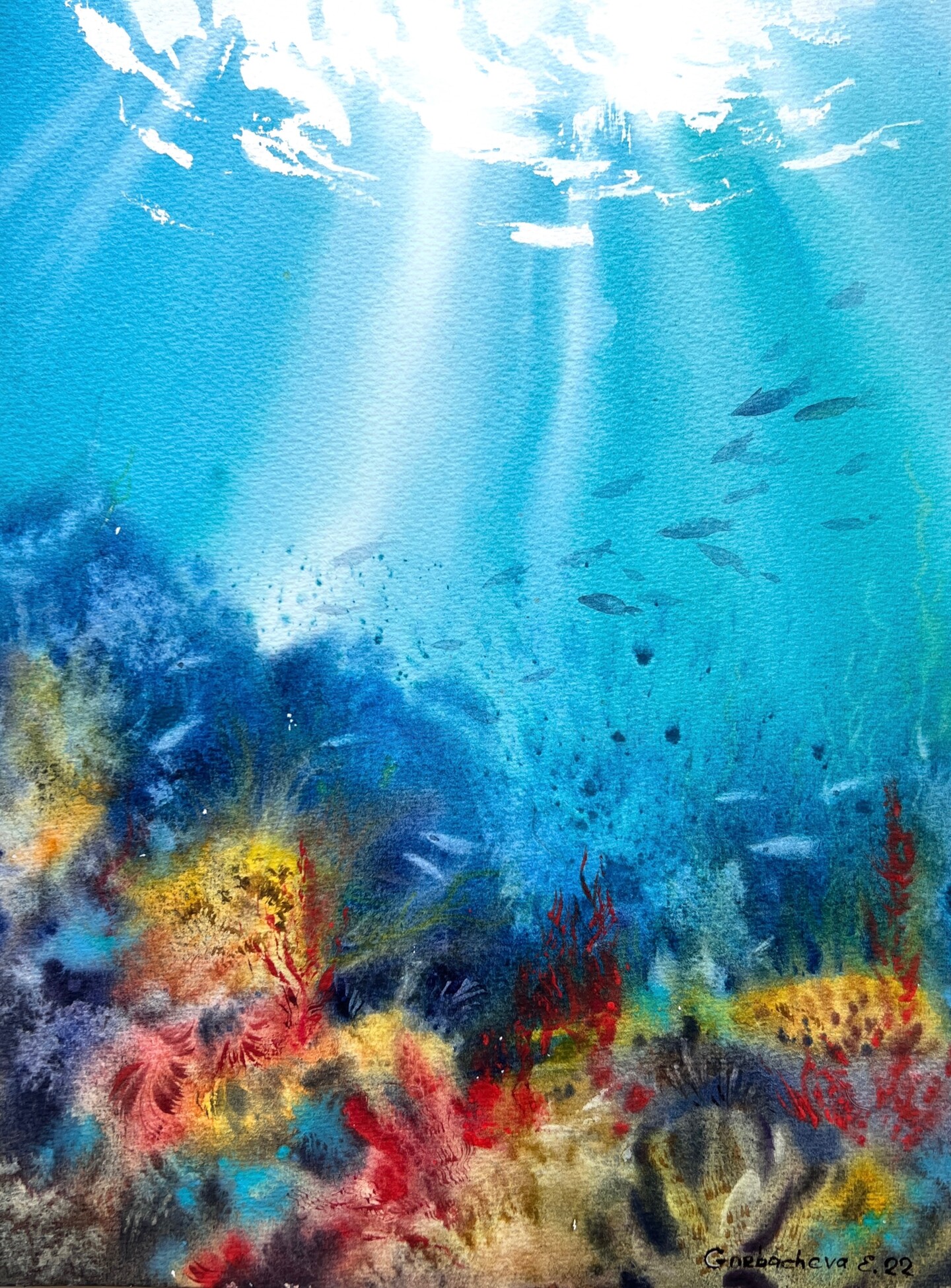 16352773_img-6331.jpg?v=1738557482