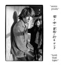 Sonic Youth - Hold That Tiger (CD) – Meditations