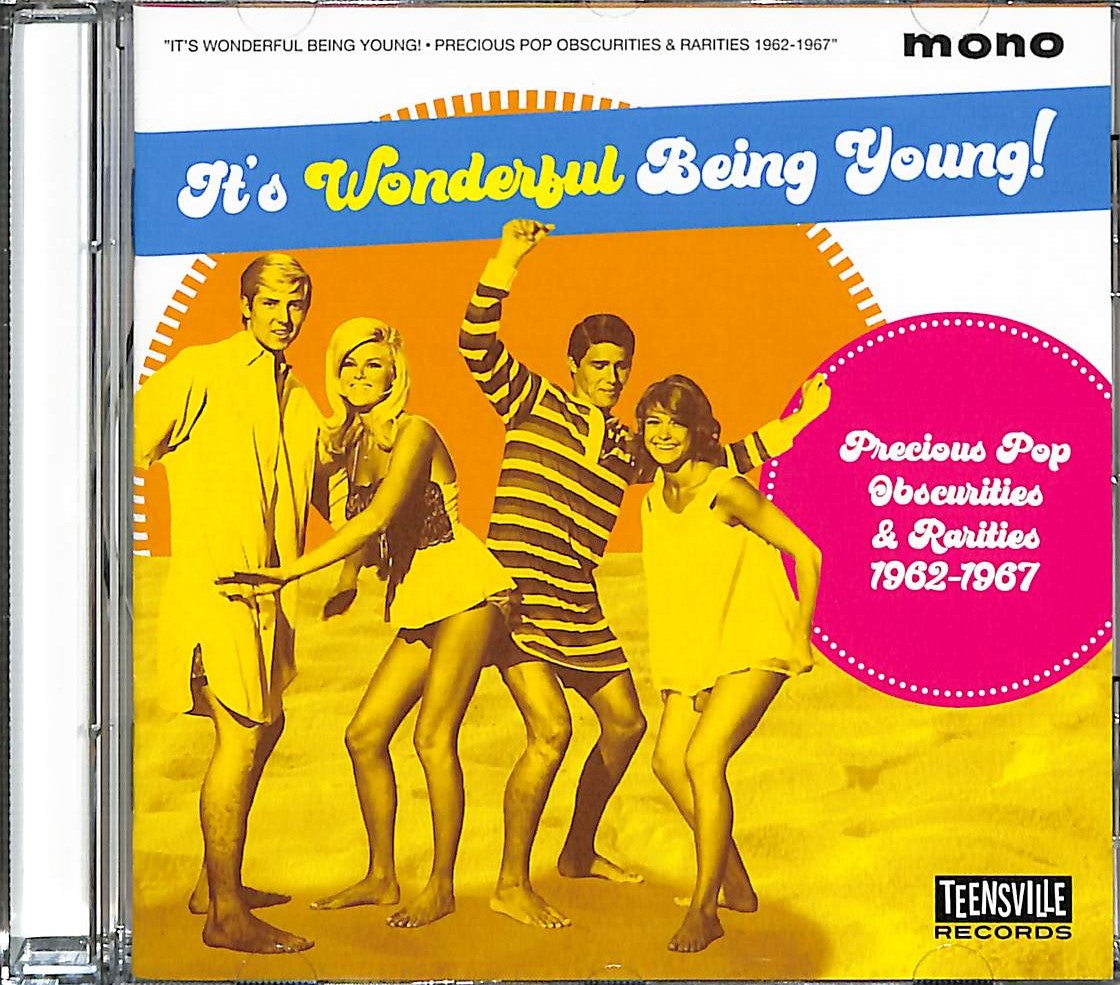 芽瑠璃堂 ＞ すでに老舗の風格を漂わせるTEENSVILLEが放つオブスキュア