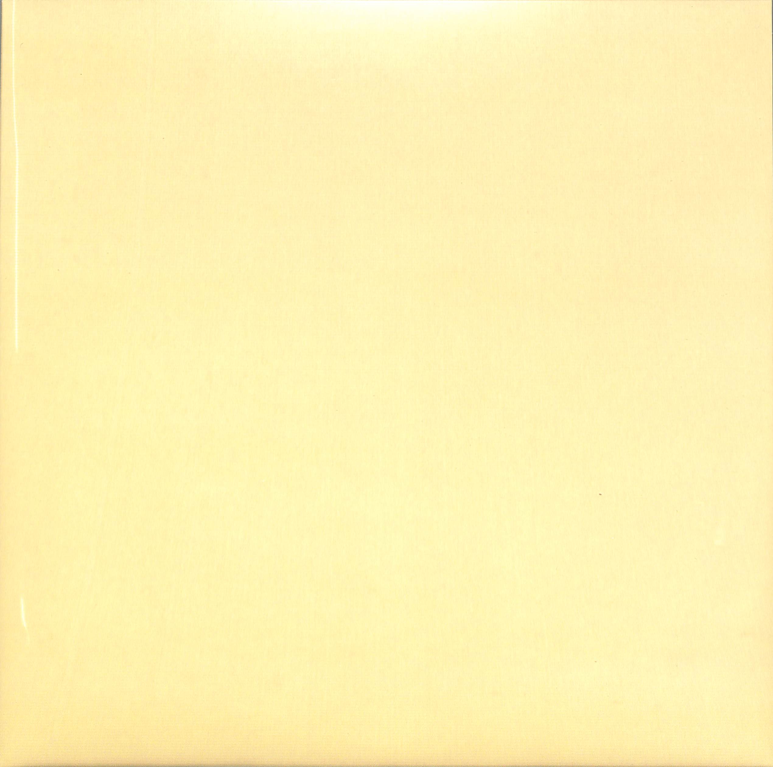 芽瑠璃堂 ＞ 青葉市子 『檻髪 (LP)（12インチ）』PLP6782