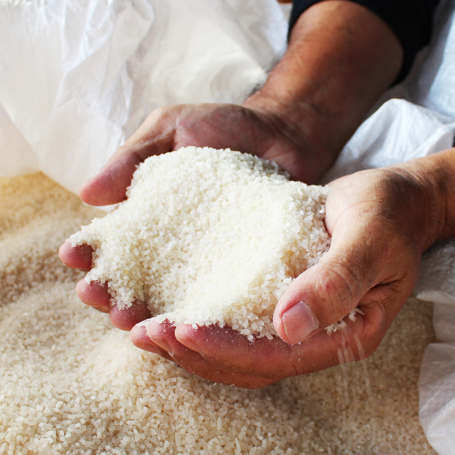 琉球泡盛「千年の響 長期熟成古酒」25度＆43度セット | 沖縄県今帰仁村