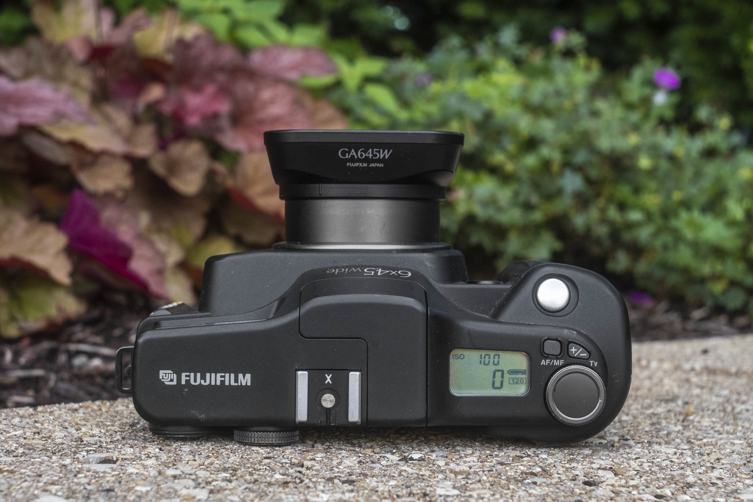 Fujifilm GA645Wi Professional (1997) - mike eckman dot com