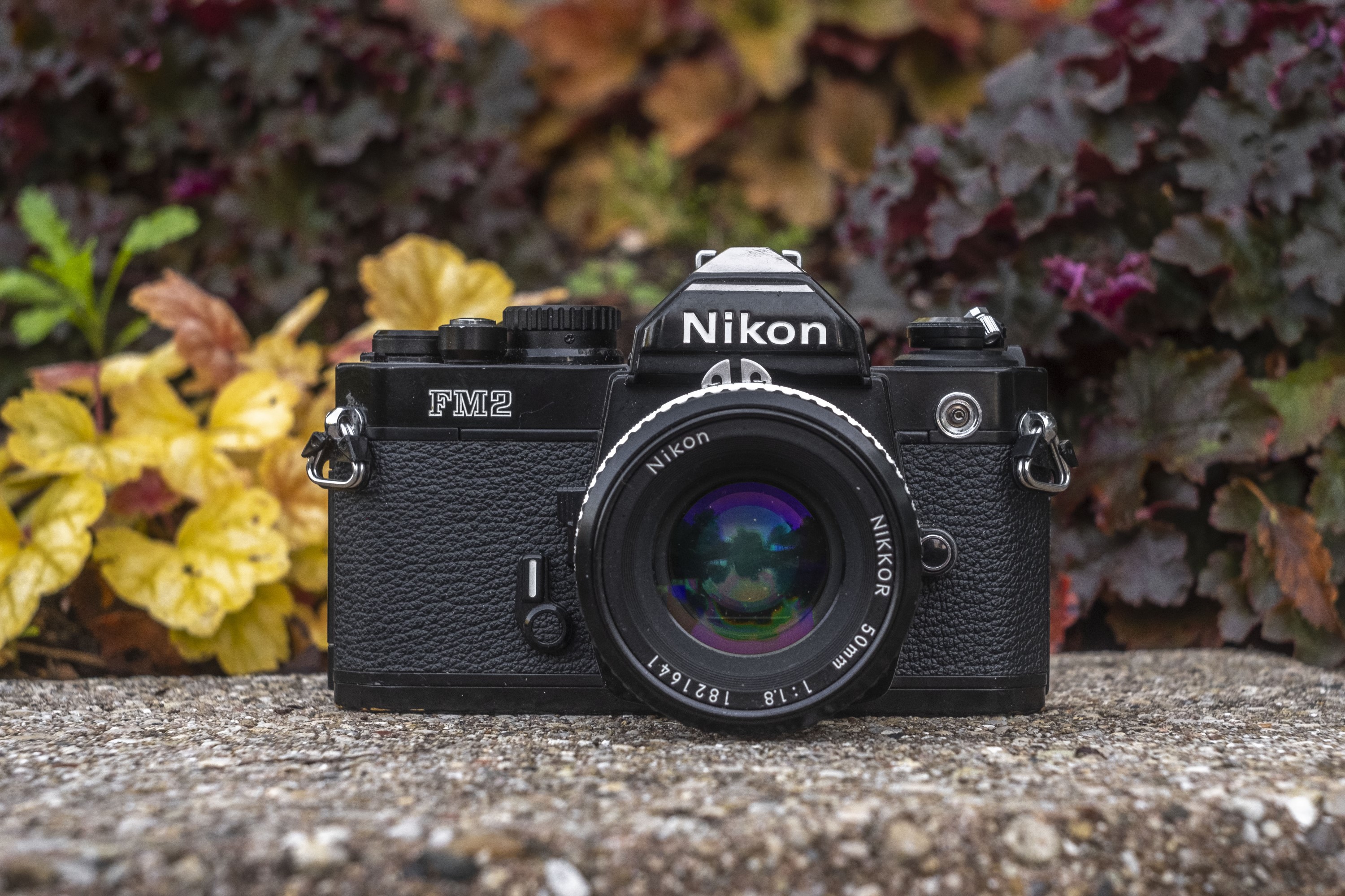 Nikon FM2n (1983) – mike eckman dot com