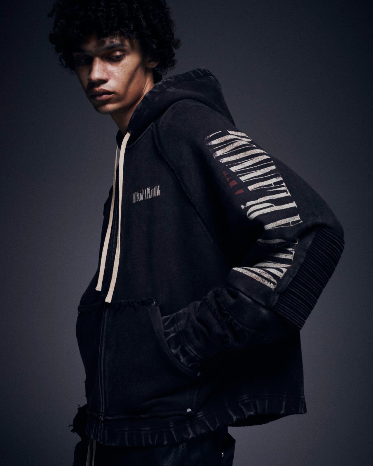 DankeSchon/ダンケシェーン/490 CHEMICAL ZIP HOODIE IRONCROSS