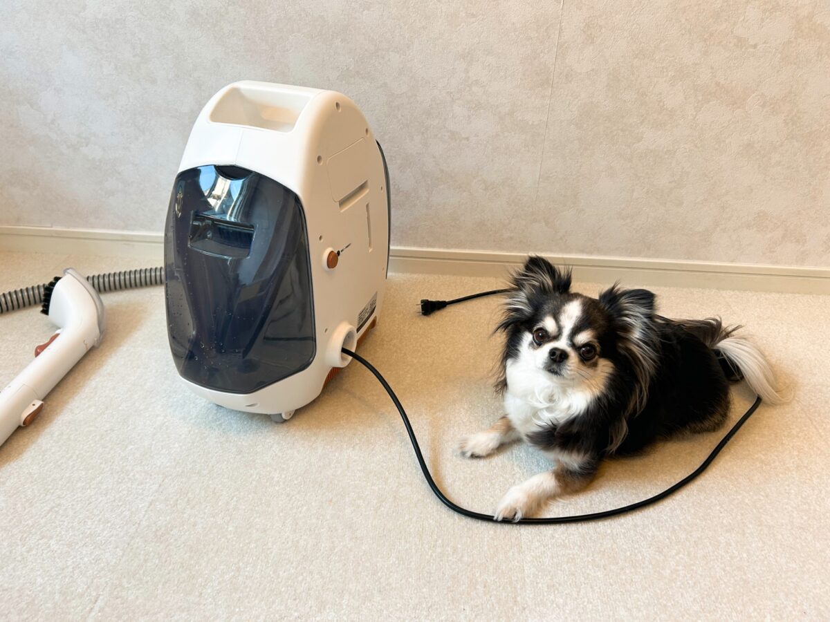 ペットのおしっこ跡におすすめ！UWANTのリンサークリーナーを使って