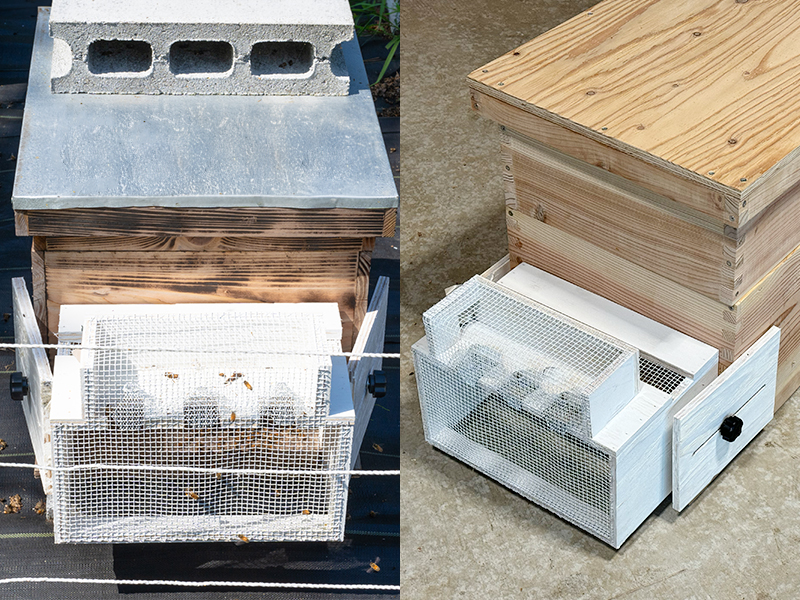 脱着型スズメバチ捕獲器（日本みつばち用） - モカメル（公式）