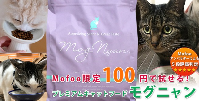 モグニャン】100円で試せる魚中心プレミアムキャットフードのクチコミ