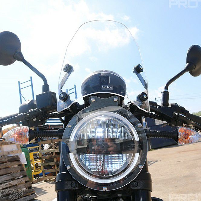 スヴァルトピレン/ヴィットピレン 401 スクリーン T-Rex Racing