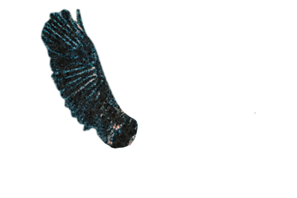 Mrs. GREEN APPLE ≪DOME TOUR 2025 ”BABEL no TOH”≫