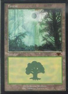 君だけの基本土地を探せ！有名プレイヤーに聞いたお気に入り土地特集