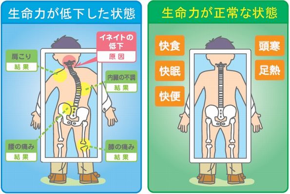 むつう整体って？ | むつう整体 みらいゆ平井 - ご自身の自然治癒力で