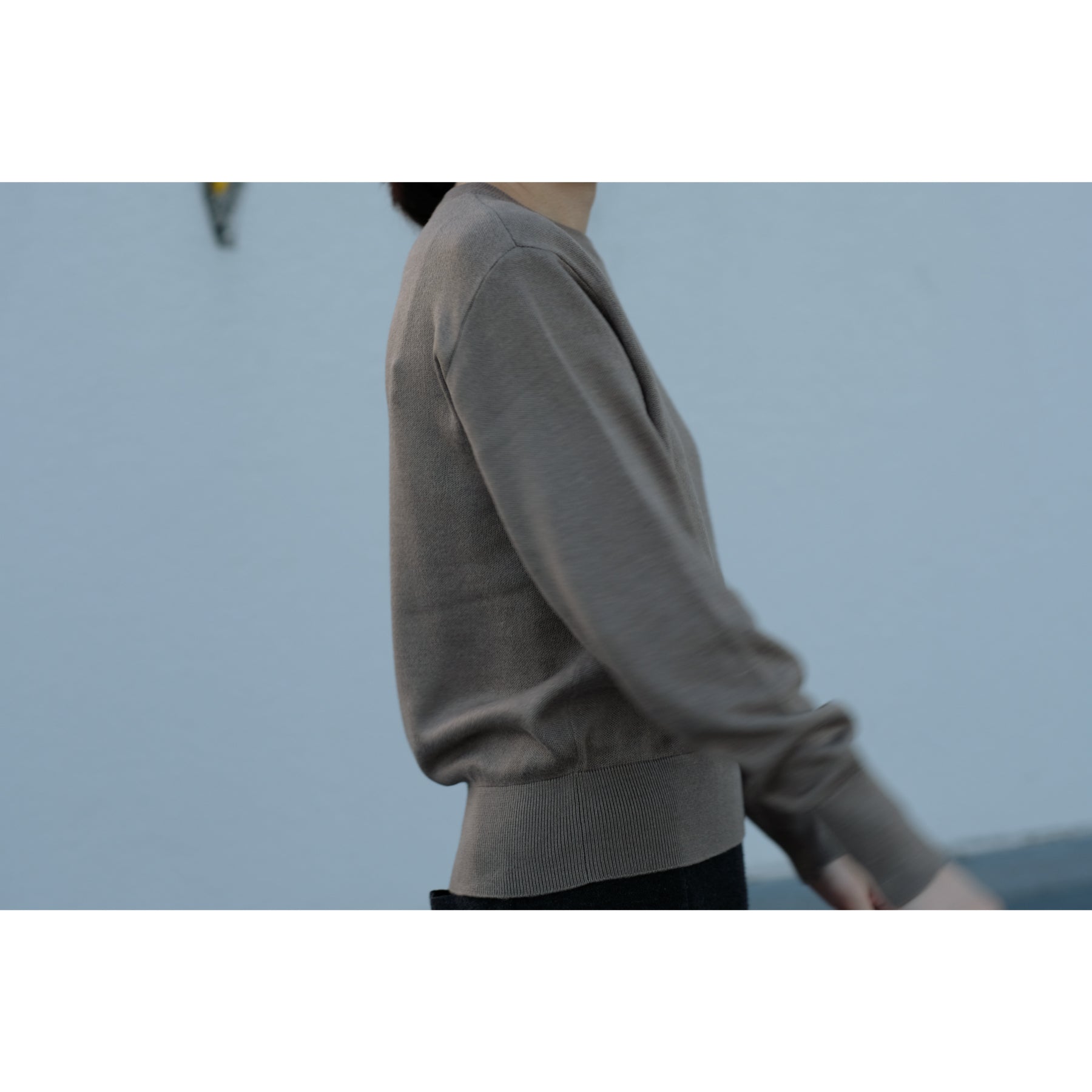 起毛シルクニット クルーネックプルオーバー, 2024年モデル, グレージュ