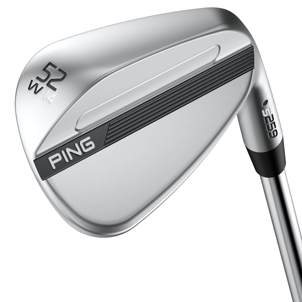 ピンゴルフ／PING PUTTER／DS72 C パターの口コミ評価｜ゴルフクラブ