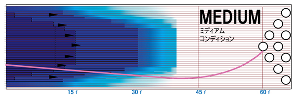 STORM Pitch Purple ピッチ・パープル 丨ボウリング口コミ/評価NAGEYO
