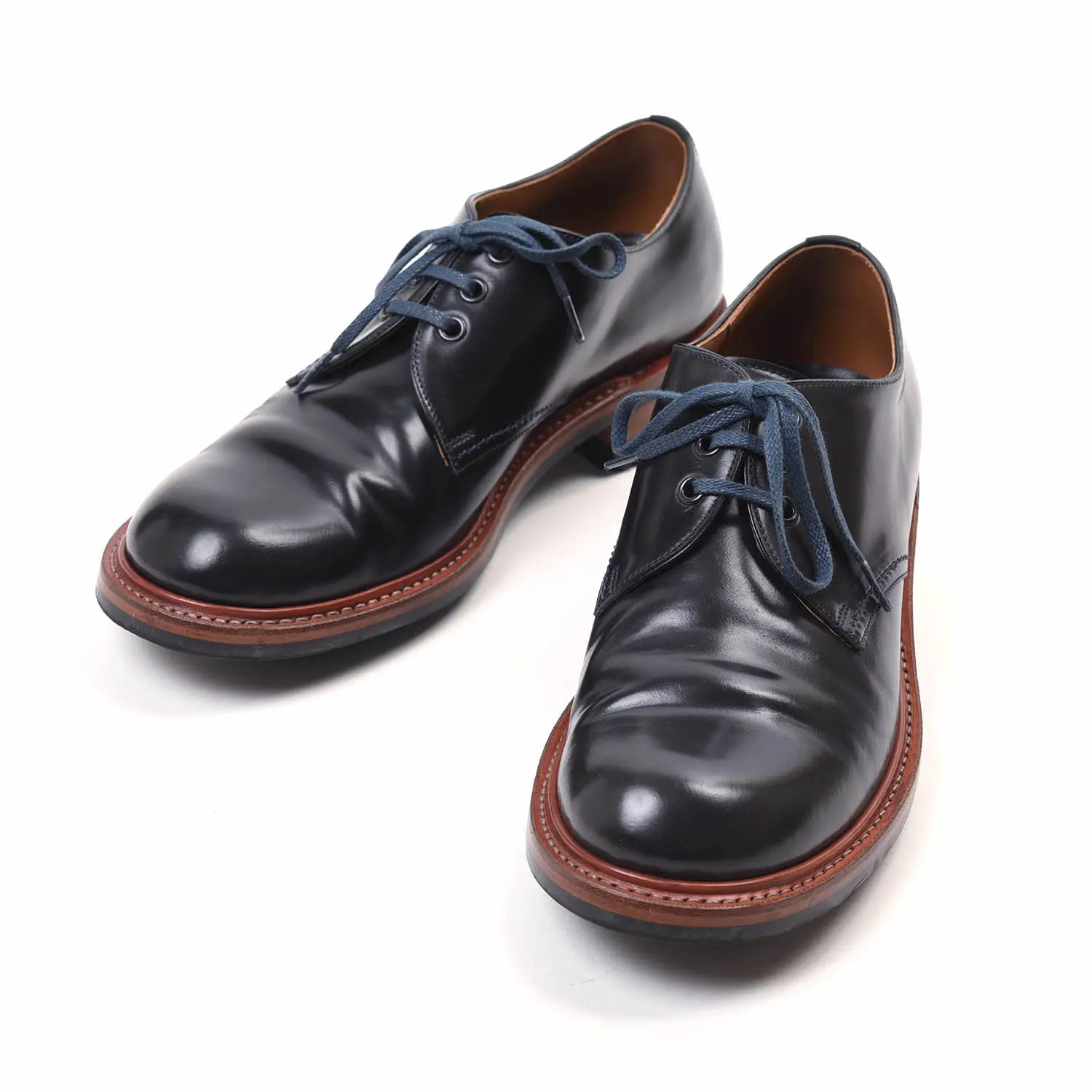 ゆっくり育てる楽しみがある】ショセC-7056コードバンDNY-ナトリヤ