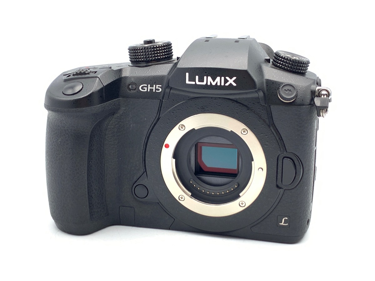 価格.com - パナソニック LUMIX DMC-GF5 ボディ 価格比較