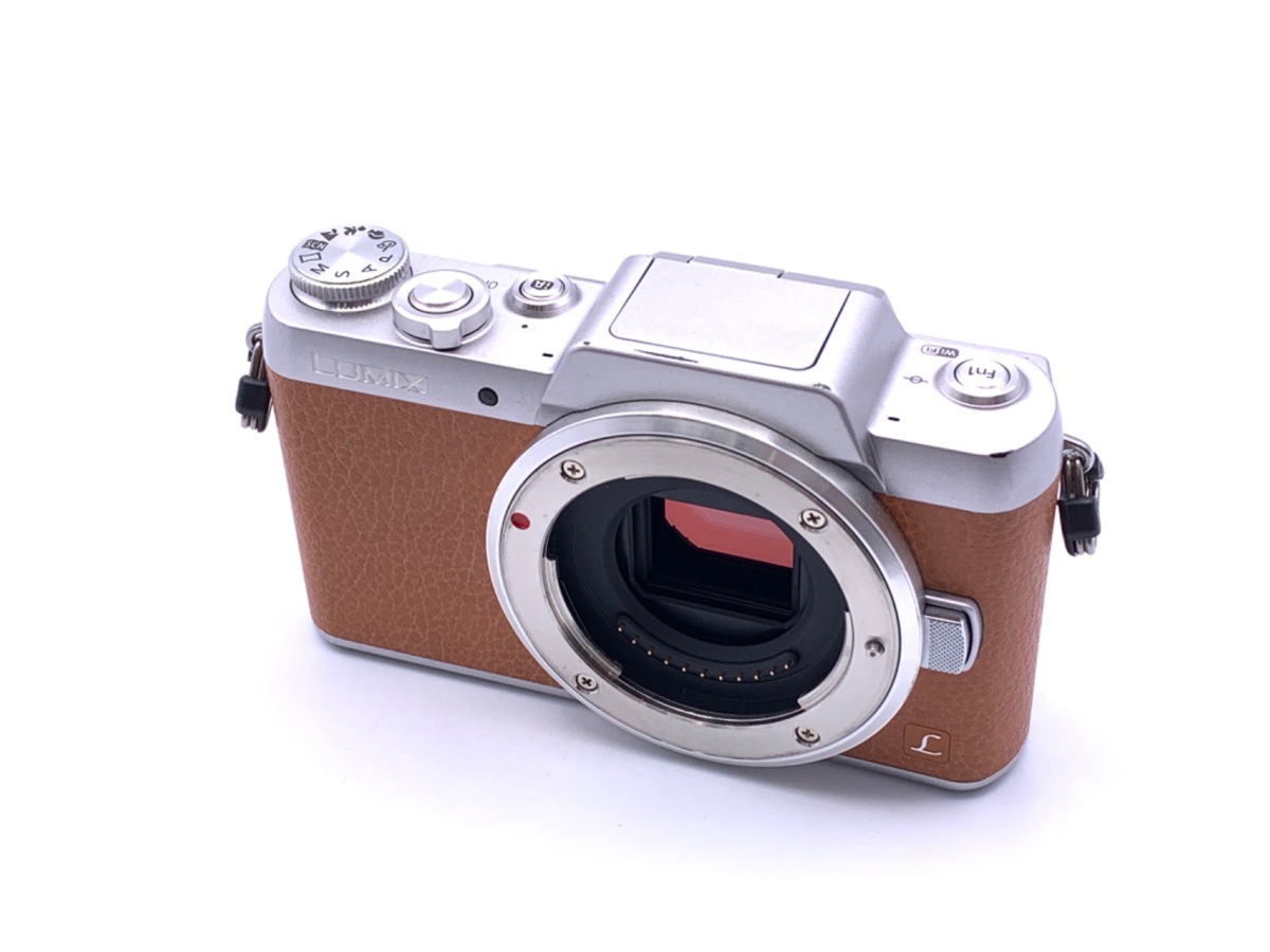 価格.com - パナソニック LUMIX DMC-GF5 ボディ 純正オプション