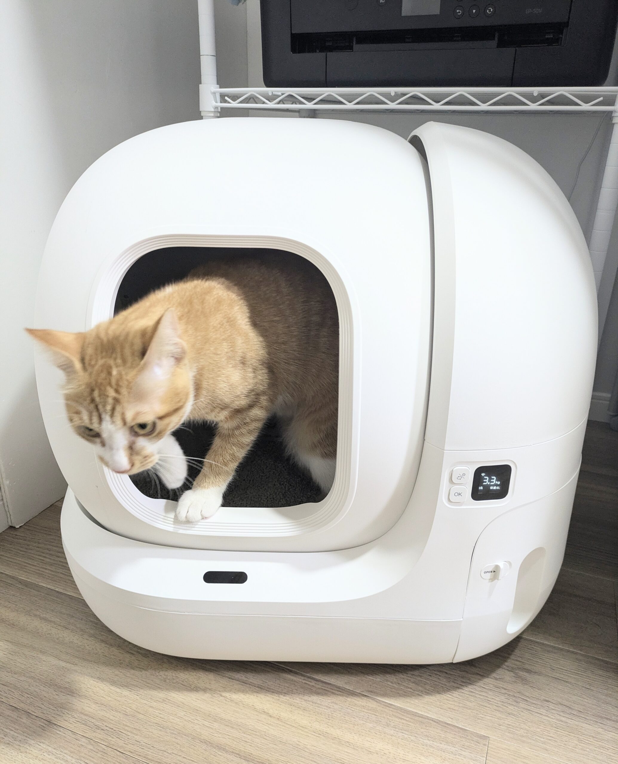 12ヶ月以上実際に愛用中】猫用自動トイレ『PETKIT』使って分かった10のこと