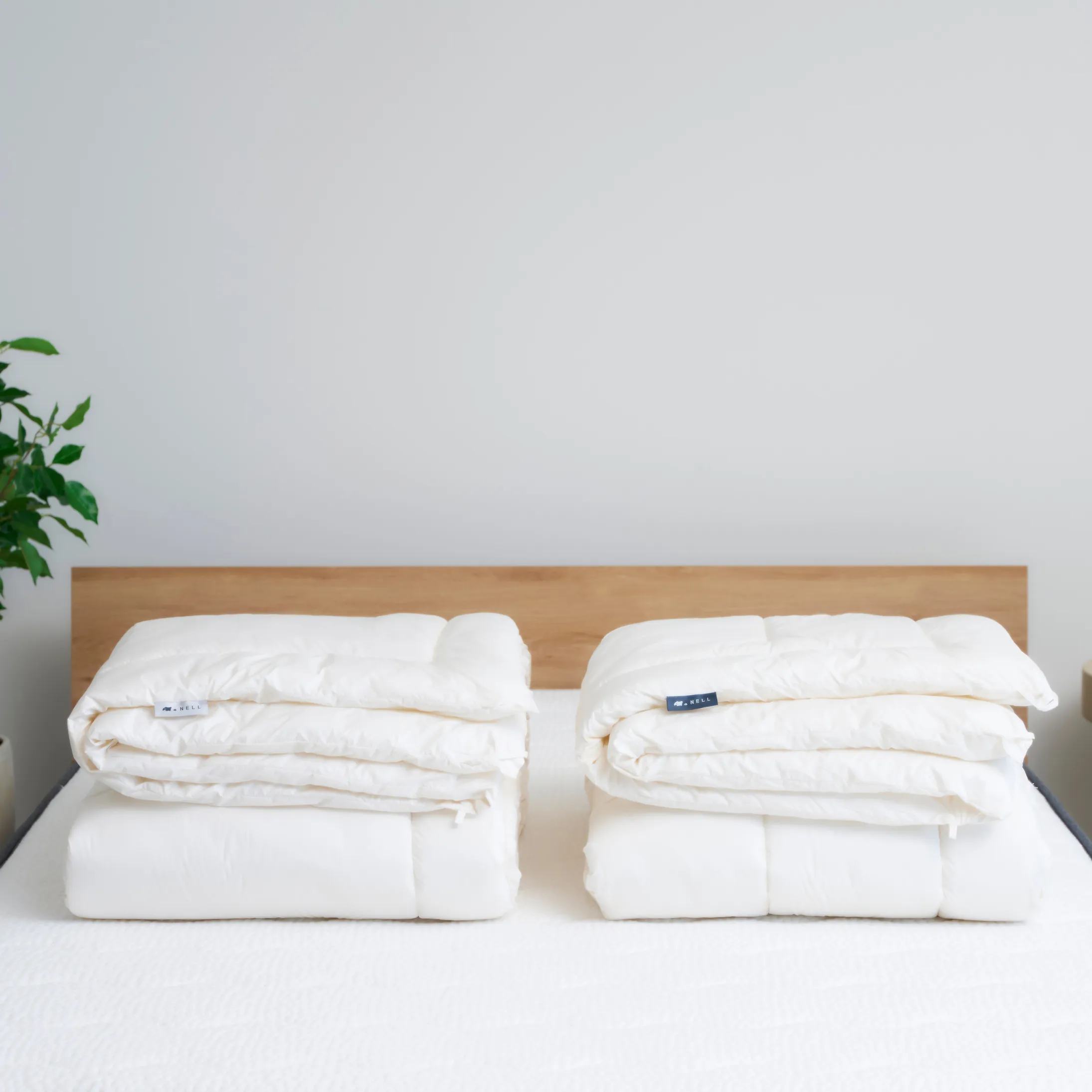 かけ布団｜NELL マットレス （ネルマットレス）公式サイト