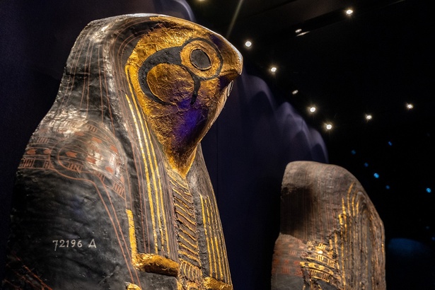 3000年の時を超えた至宝が東京に！エジプト政府公認の「ACN ラムセス