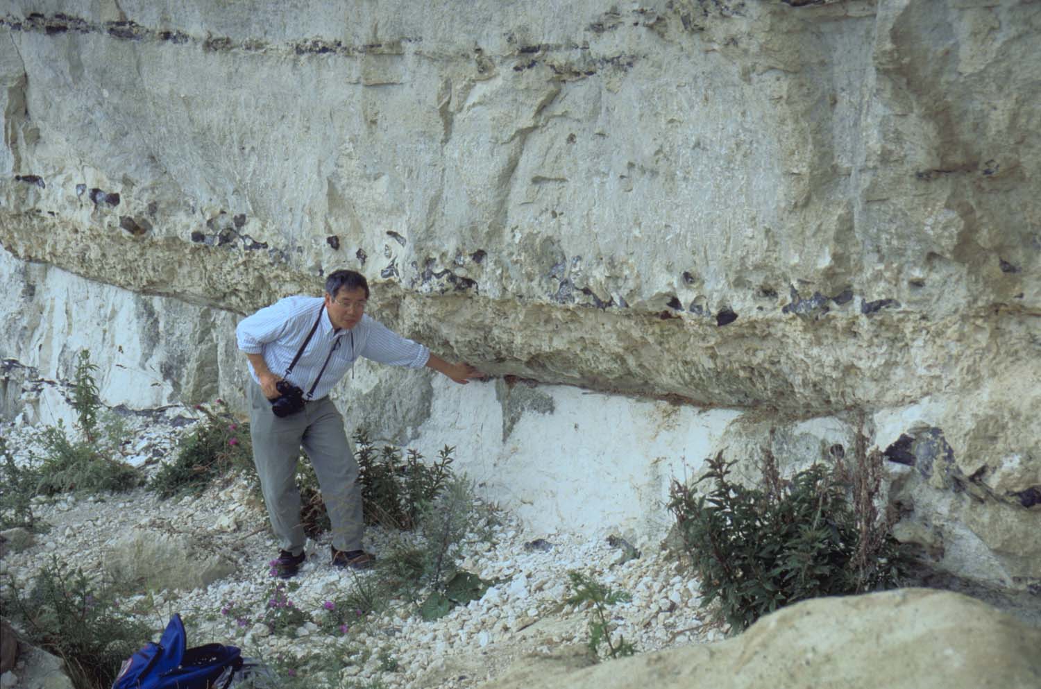 入手不可！小惑星のかけら K-T境界層（K/Pg境界頁岩） 標本 K/T境界