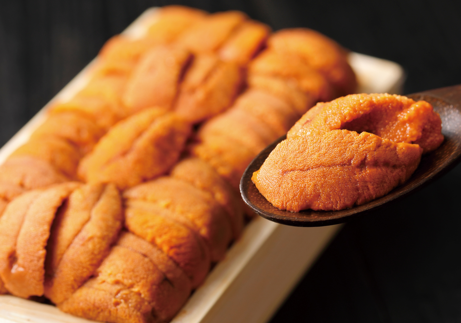 うに(木折) – 株式会社ニックスインターナショナル