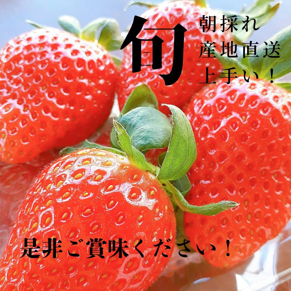 いちご 【うさみ園】 やよいひめ (7～9個)400g×2トレイ 800g ステビア