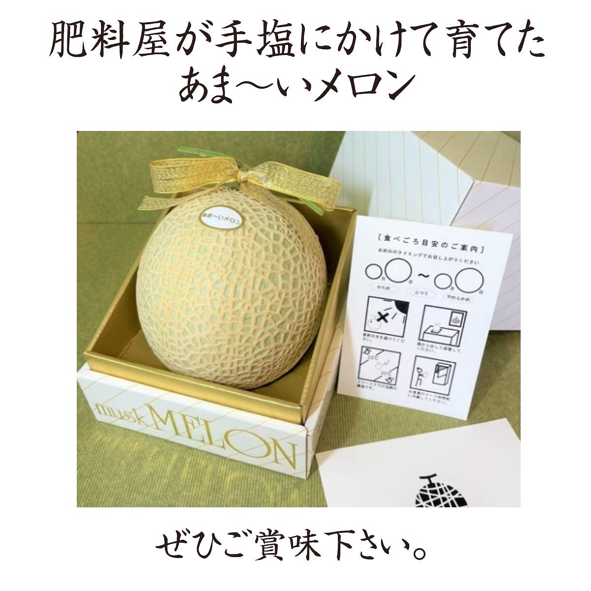 メロン 【トヨタ緑産】 肥料屋さんが作った あま～いメロン 1玉 1.2