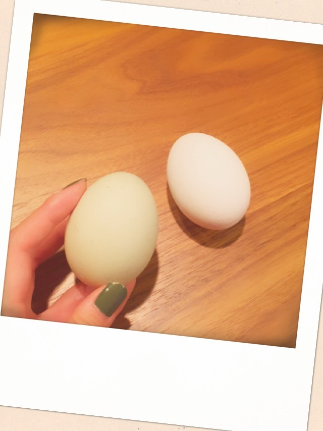 にわとりのたまご。 | 野々すみ花｜Sumika Nono official website