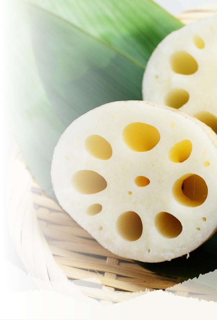 佐賀県産の高級レンコン通販は【野中農園】