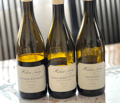 ドメーヌ・ユベール・ラミー [ Noisy wine ]