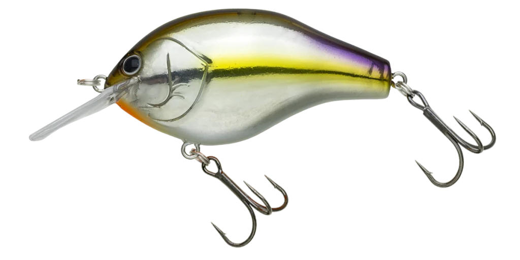 MARUNOMI FLAT | BASS | NORIES