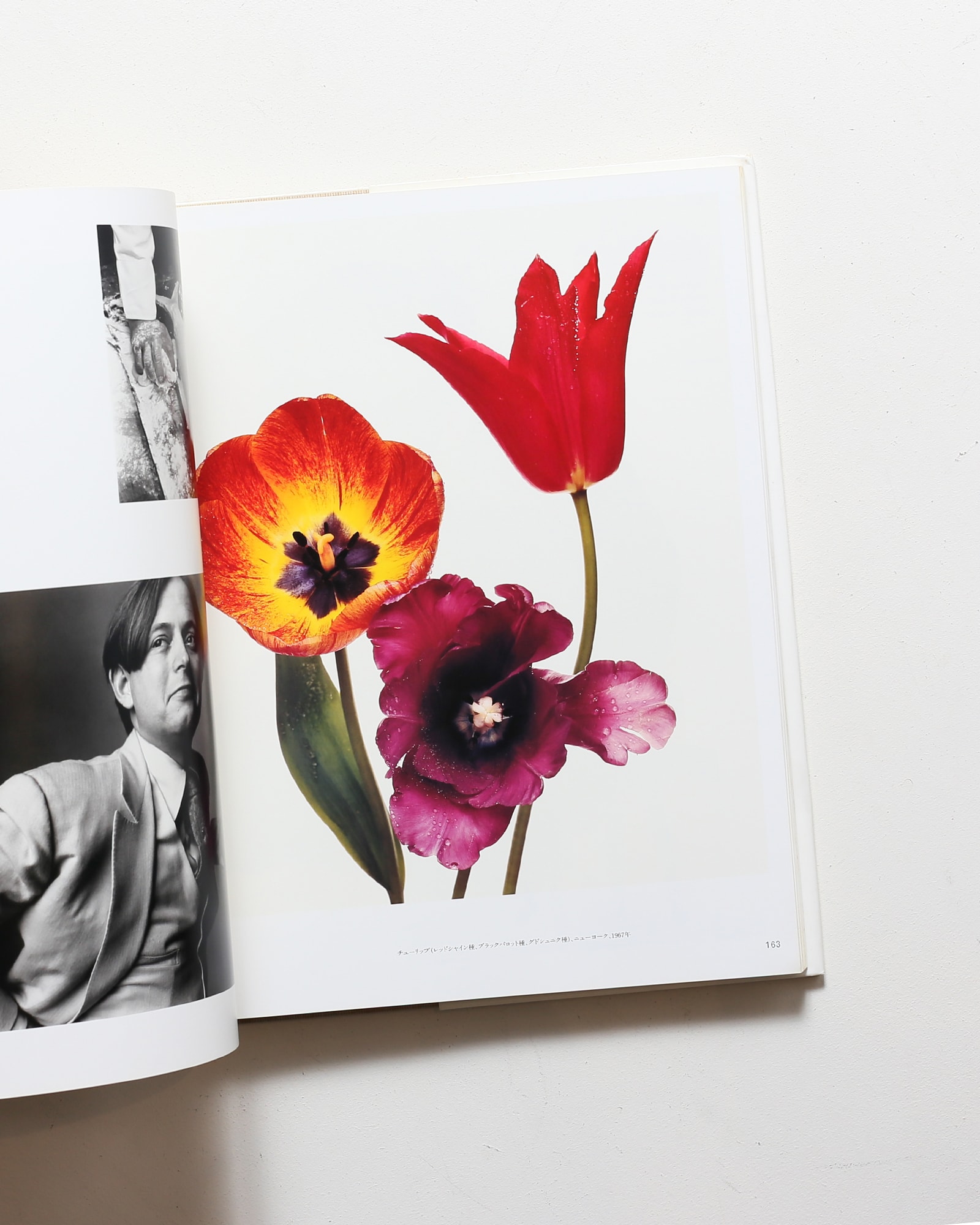 パッセージ Passage | アーヴィング・ペン | nostos books ノストス